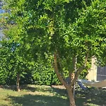 Piccolo Vigneto 3*