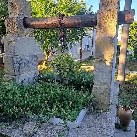 Piccolo Vigneto 奥特朗托
