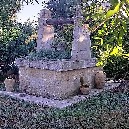 Piccolo Vigneto